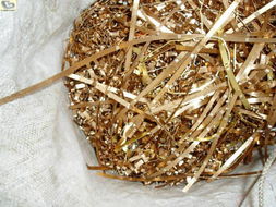 上海江橋廢品物資回收