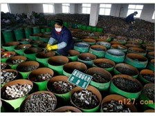 廣州盛輝廢舊物資回收公司產(chǎn)品展示